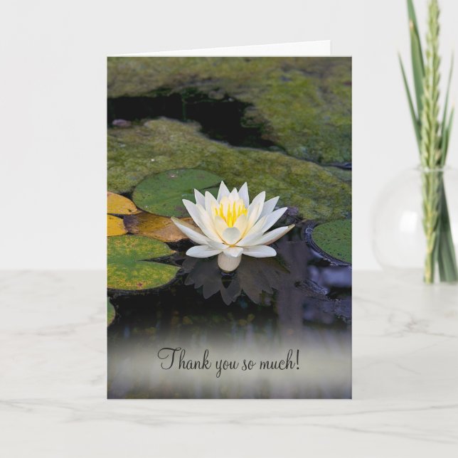 White Water Lily Thank You (Front)