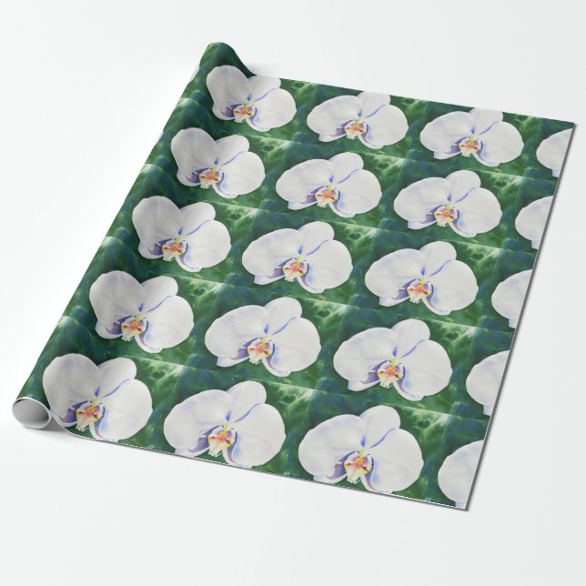 White Watercolor orchid Wrapping Paper (Unrolled)