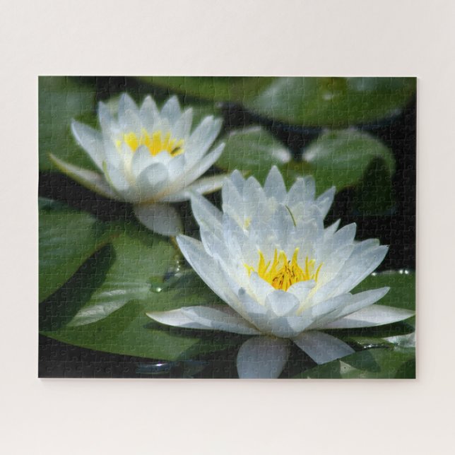 White Waterlilies Jigsaw Puzzle (Horizontal)