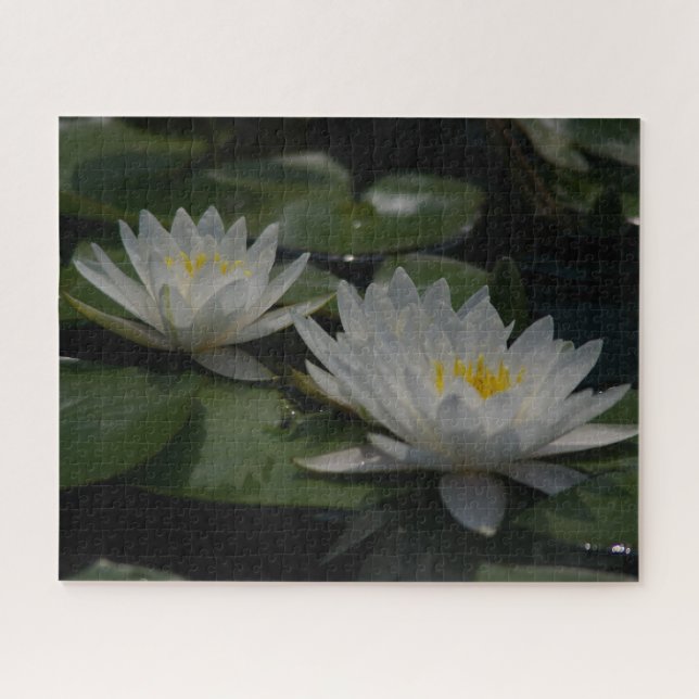 White Waterlilies Jigsaw Puzzle (Horizontal)