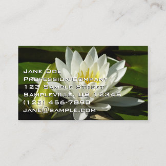 White Waterlily and Bud Floral Business Card