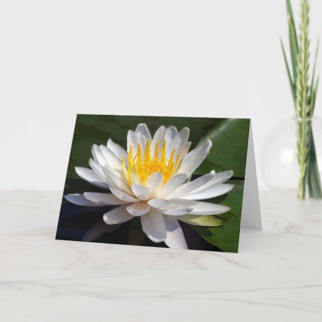 White Waterlily Blank Greeting Card (Front)