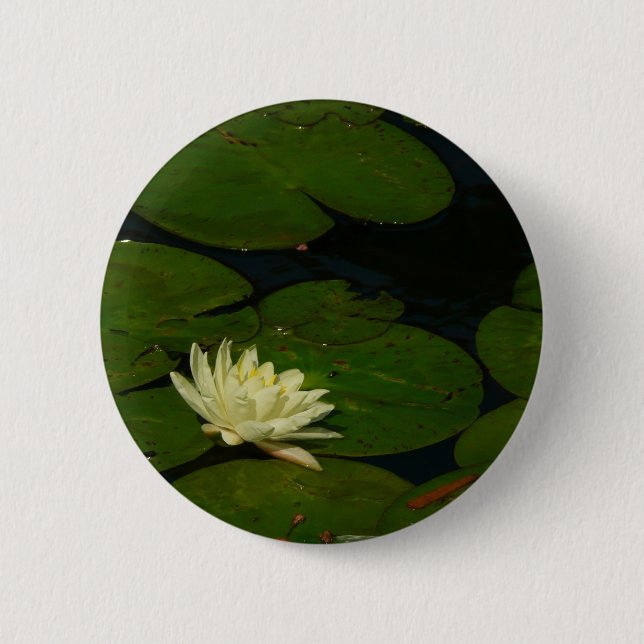White Waterlily I Peaceful Floral Photography 6 Cm Round Badge (Front)