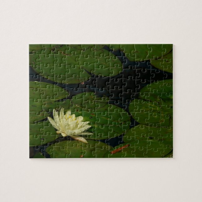 White Waterlily I Peaceful Floral Photography Jigsaw Puzzle (Horizontal)