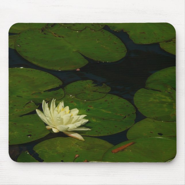 White Waterlily I Peaceful Floral Photography Mouse Mat (Front)