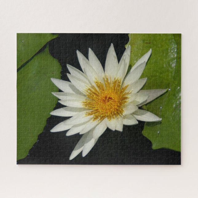 White Waterlily Jigsaw Puzzle (Horizontal)