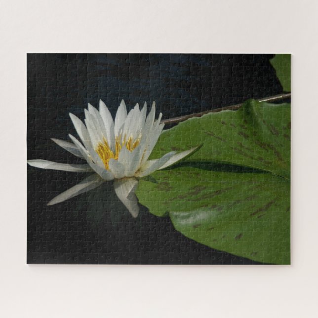 White Waterlily Jigsaw Puzzle (Horizontal)