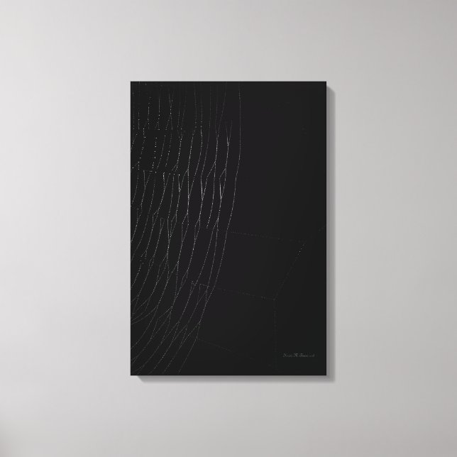 White Web with Black Canvas Print (Front)