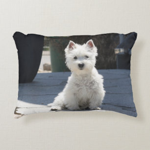 White West Highland Terrier Sitting on Sidewalk Decorative Cushion