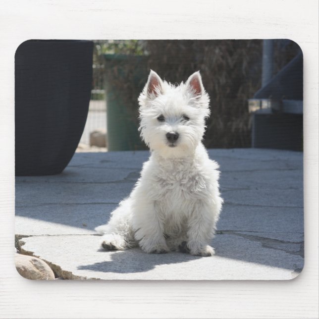 White West Highland Terrier Sitting on Sidewalk Mouse Mat (Front)