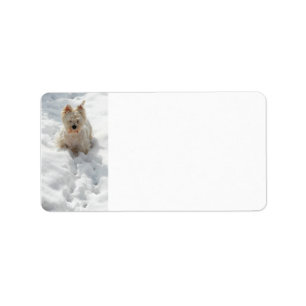 White Westie Dog in Snow Address Label