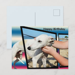 White Whippet Dimensional Art, Birthday Postcard