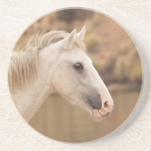 White wild horse coaster
