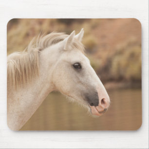 White wild horse mouse mat