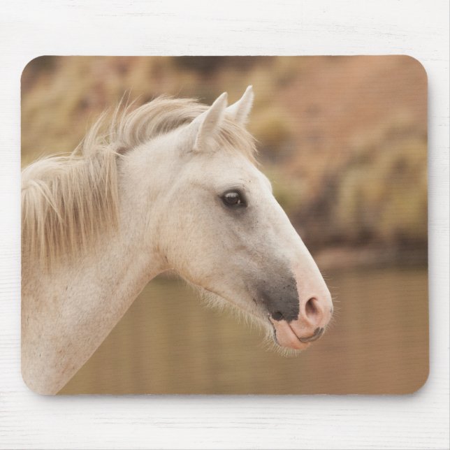 White wild horse mouse mat (Front)