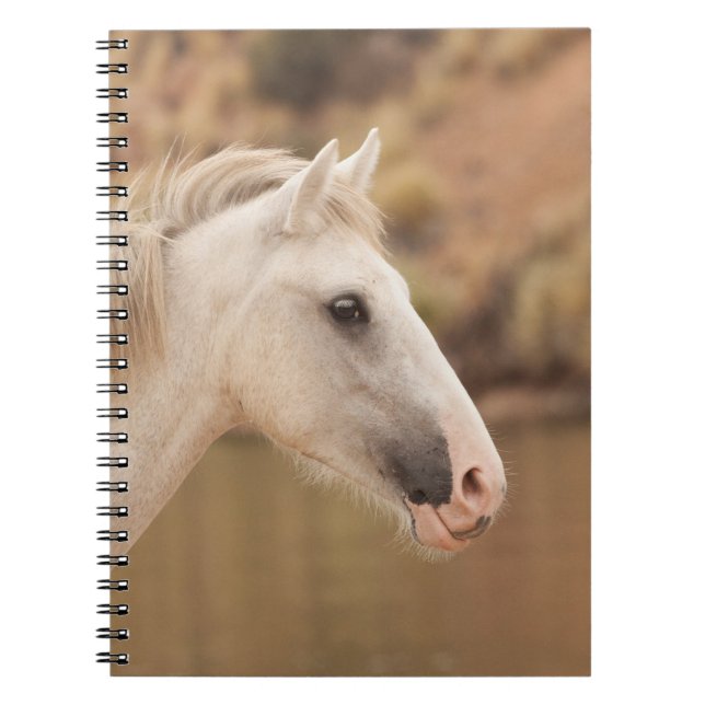 White Wild Horse Notebook (Front)