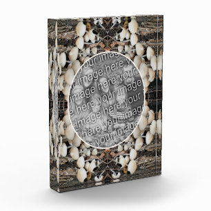 White Wild Mushrooms Nature Add Your Own Photo Block