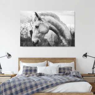 White Wild Spirited Horse Black and White Canvas Print