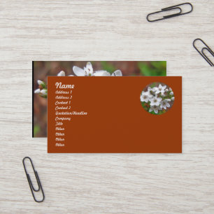 White Wildflower & Bee Fly Business Card
