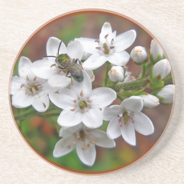 White Wildflower & Bee Fly Coaster (Front)