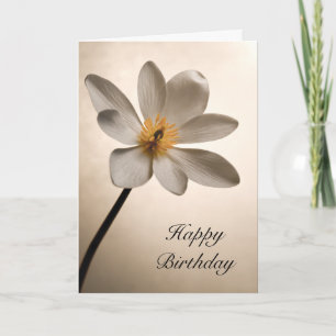 White Wildflower Birthday Card