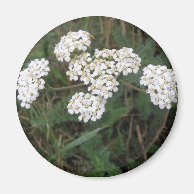 White Wildflowers Magnet (Front)
