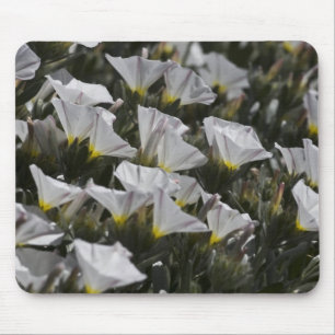 white wildflowers mouse mat