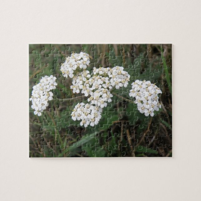White Wildflowers Puzzle (Horizontal)