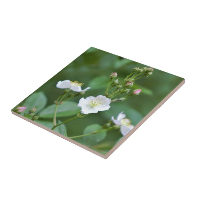 White Wildflowers Tile (Side)