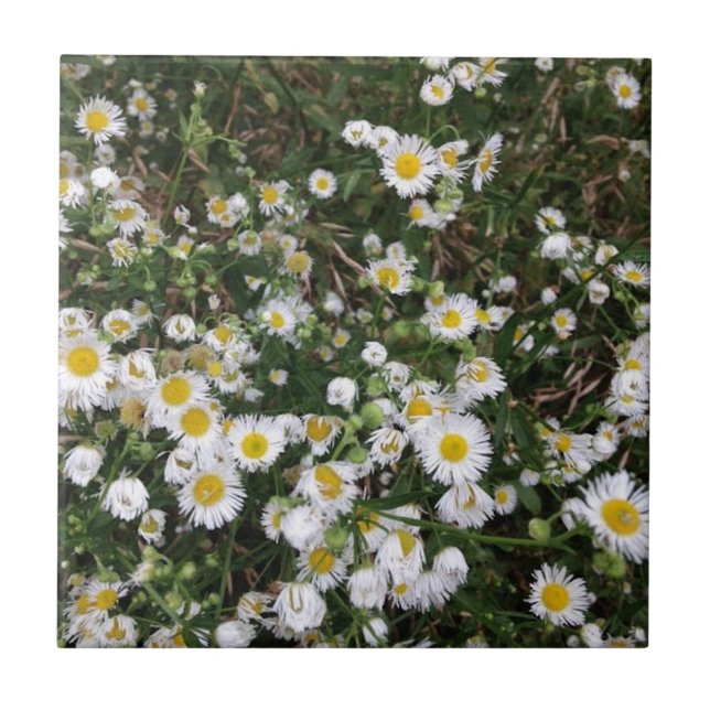 White Wildflowers Tile (Front)