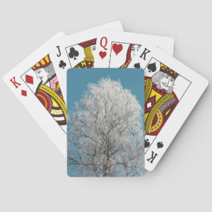  White Willow Tree Against Cloudless Blue Sky Playing Cards