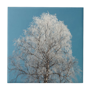  White Willow Tree Against Cloudless Blue Sky Tile