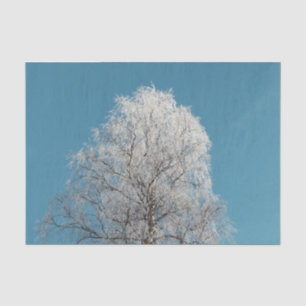 White Willow Tree Against Cloudless Blue Sky Tissue Paper