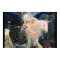'White Wind' by Elizabeth Kyle