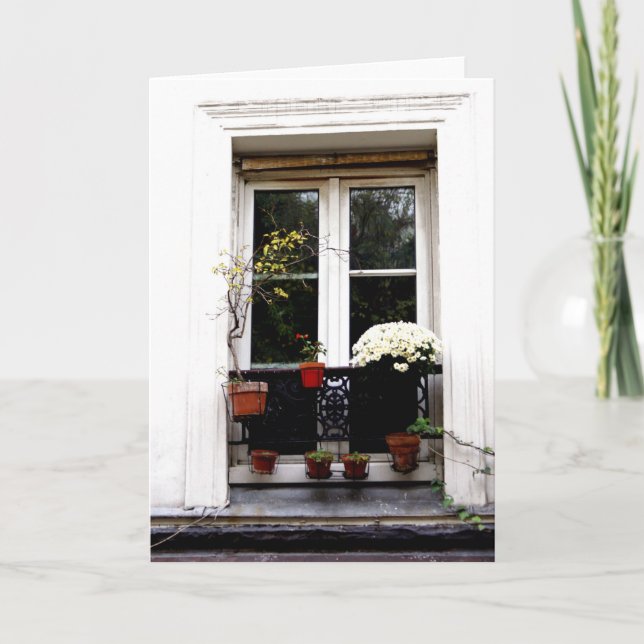 White Window Card (Front)