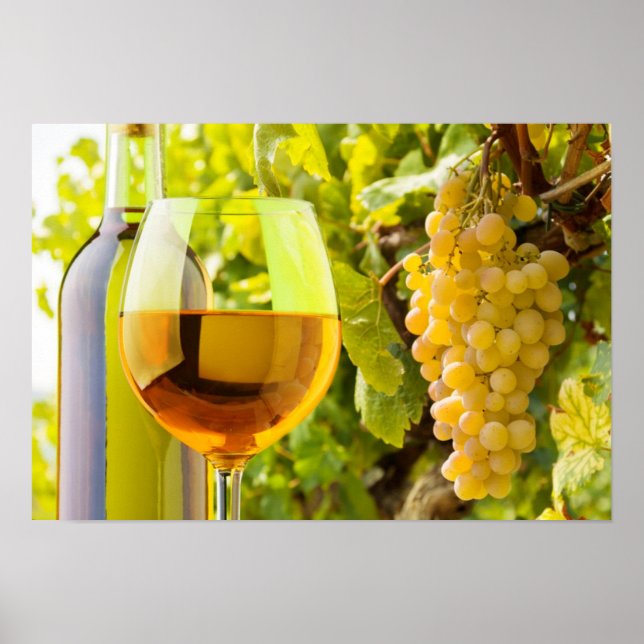 White Wine And Grapes Poster (Front)