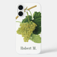 White Wine Grapes on the Vine, Vintage Food Fruit