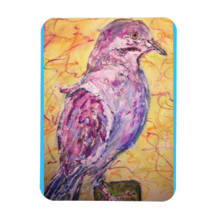White-winged Dove art Magnet
