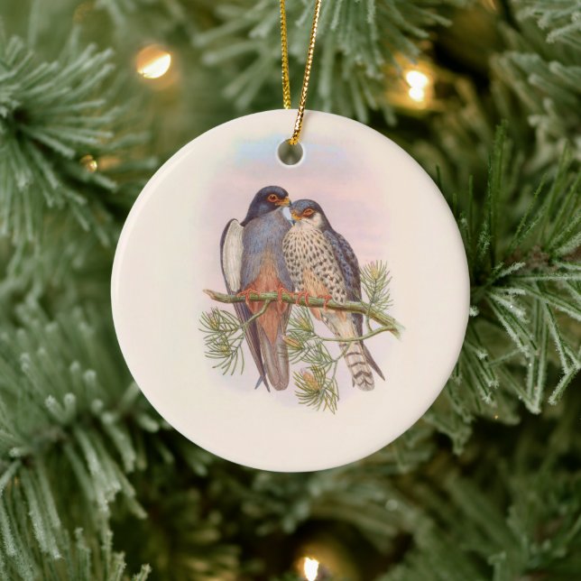 White-winged Red-footed Kestrel  Ceramic Tree Decoration (Tree)