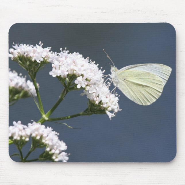 White Winged Wonder Mouse Pad (Front)