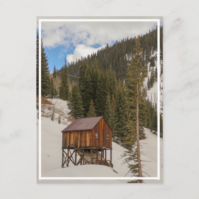 White Winter Postcard (Front)