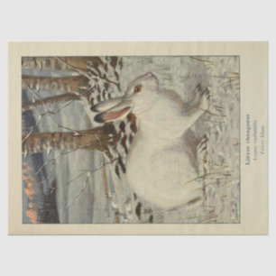 White Winter Rabbit Ephemera Decoupage Tissue Paper
