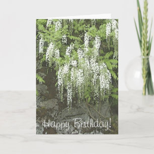 White wisteria card