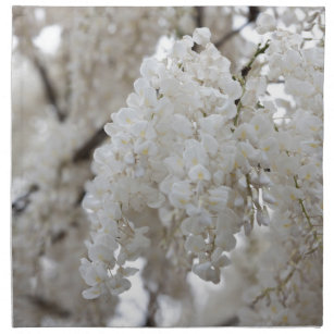 white wisteria in the garden napkin