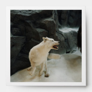 White Wolf Envelopes