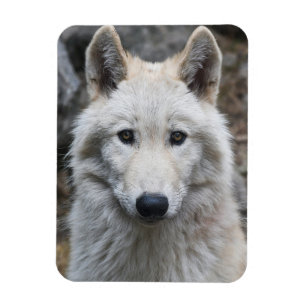 WHITE WOLF FLEXIBLE MAGNET
