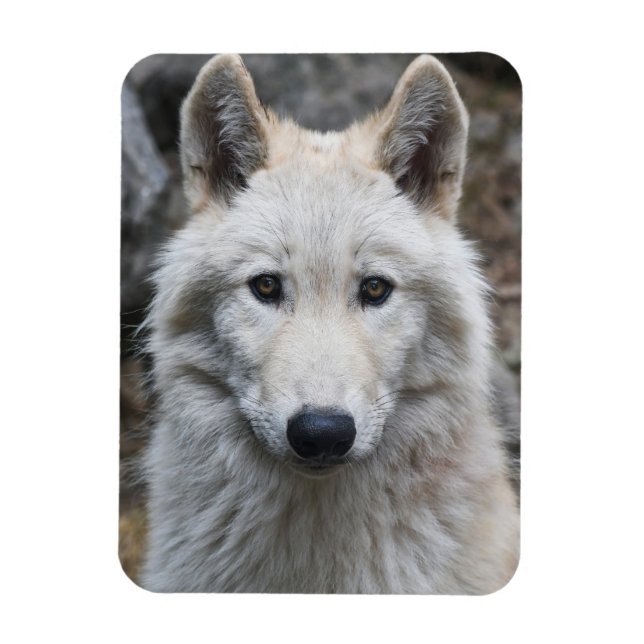 WHITE WOLF FLEXIBLE MAGNET (Vertical)