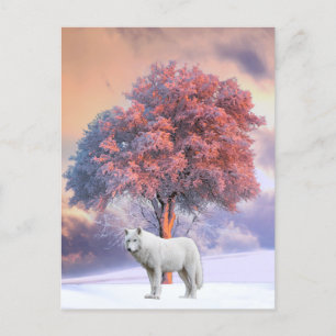 White Wolf in Winter   Postcard
