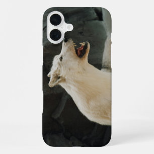 White Wolf iPhone 16 Plus Case