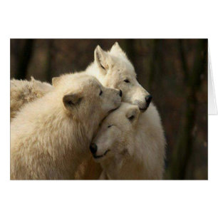 White Wolf Pack